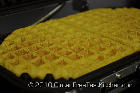 Gluten Free Pumpin Waffle Recipe